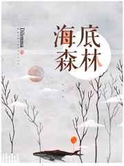 海底森林有什么作用