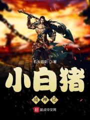 小白猪 小猪呵呵