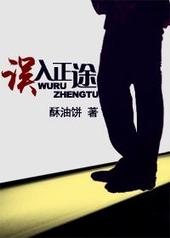 误入正途txt