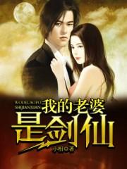 我的老婆是剑仙好看吗