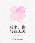 后来的我与他无关