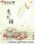 贵女不愁