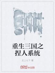 重生三国系统流